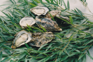 東広島の特産品生牡蠣